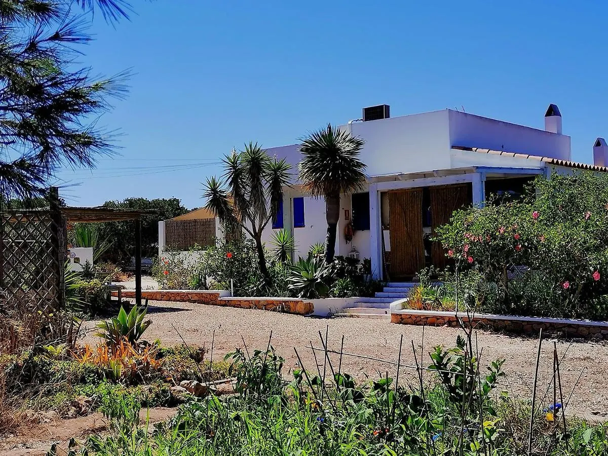 Ca N\'Antonia Formentera contacts